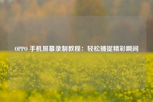 OPPO 手机屏幕录制教程：轻松捕捉精彩瞬间