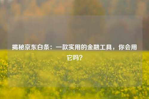 揭秘京东白条：一款实用的金融工具，你会用它吗？