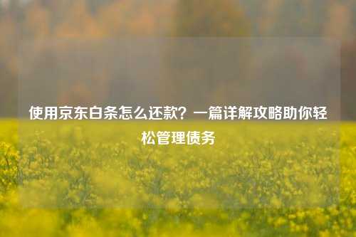 使用京东白条怎么还款？一篇详解攻略助你轻松管理债务