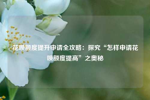 花呗额度提升申请全攻略:探究“怎样申请花呗额度提高”之奥秘