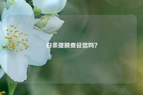 白条提额查征信吗？