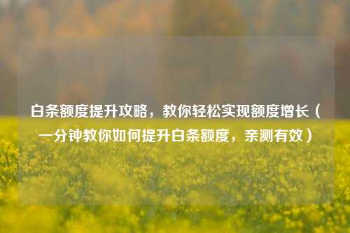 白条额度提升攻略,教你轻松实现额度增长(一分钟教你如何提升白条额度,亲测有效)