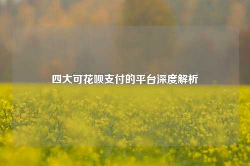 四大可花呗支付的平台深度解析