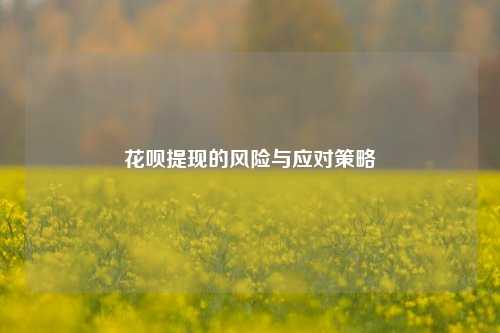 花呗提现的风险与应对策略