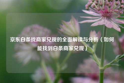 京东白条找商家兑现的全面解读与分析(如何能找到白条商家兑现)