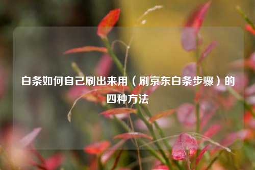 白条如何自己刷出来用(刷京东白条步骤)的四种方法