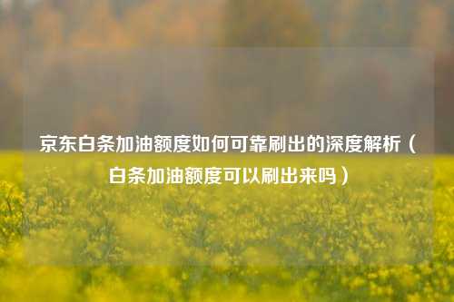 京东白条加油额度如何可靠刷出的深度解析(白条加油额度可以刷出来吗)