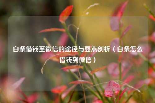 白条借钱至微信的途径与要点剖析(白条怎么借钱到微信)