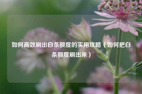 如何高效刷出白条额度的实用攻略(如何把白条额度刷出来)