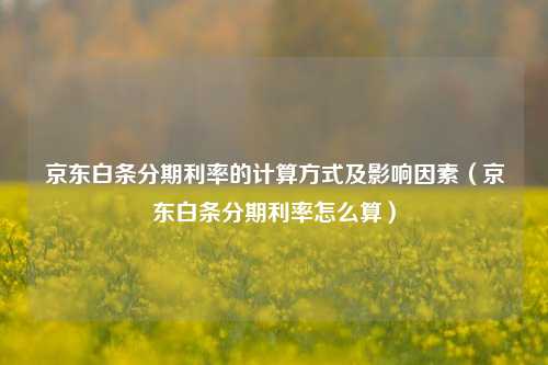 京东白条分期利率的计算方式及影响因素(京东白条分期利率怎么算)
