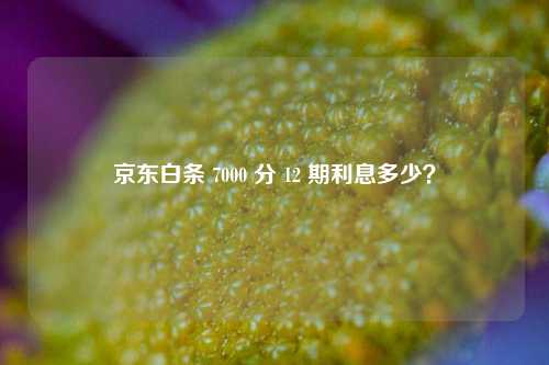 京东白条 7000 分 12 期利息多少?