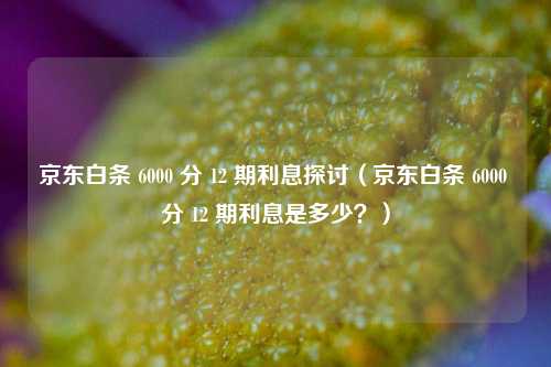 京东白条 6000 分 12 期利息探讨(京东白条 6000 分 12 期利息是多少?)