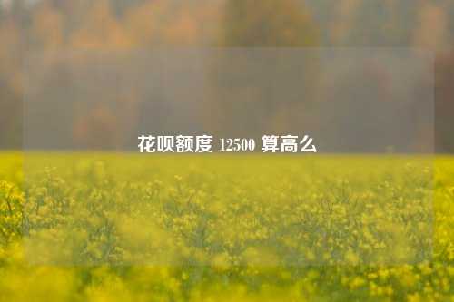 花呗额度 12500 算高么