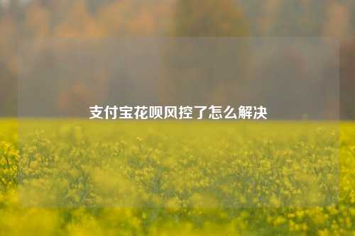 支付宝花呗风控了怎么解决