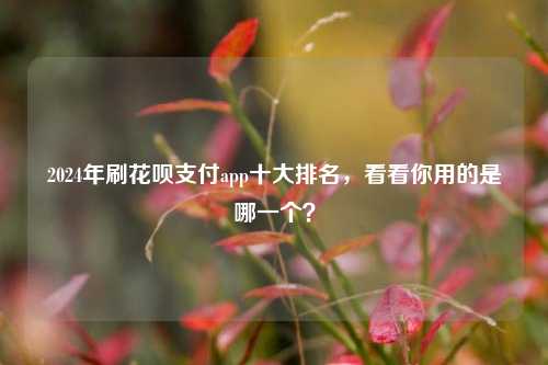 2024年刷花呗支付app十大排名，看看你用的是哪一个？