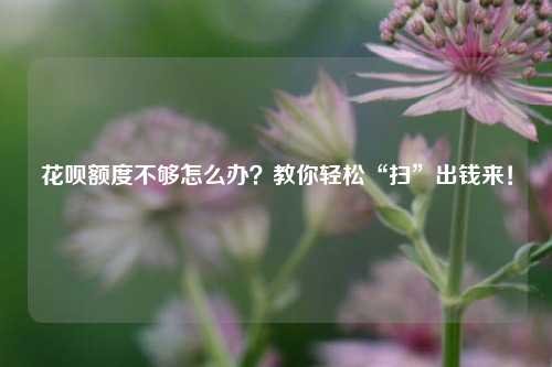 花呗额度不够怎么办？教你轻松“扫”出钱来！