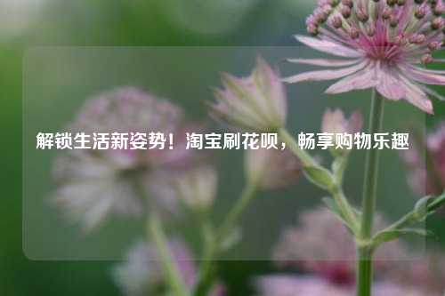 解锁生活新姿势！淘宝刷花呗，畅享购物乐趣