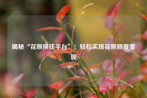 揭秘“花呗换钱平台”：轻松实现花呗额度变现