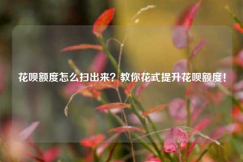 花呗额度怎么扫出来？教你花式提升花呗额度！