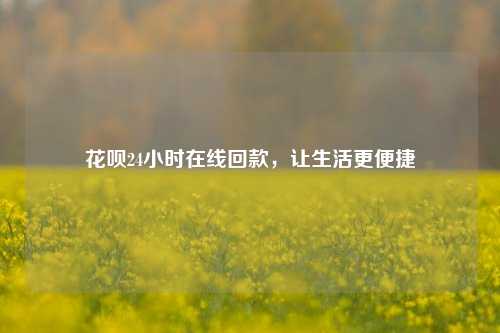 花呗24小时在线回款，让生活更便捷
