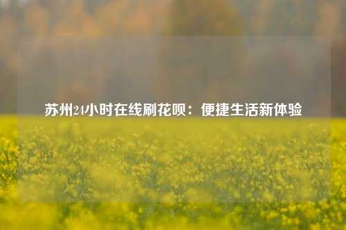 苏州24小时在线刷花呗：便捷生活新体验