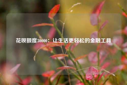 花呗额度30000：让生活更轻松的金融工具