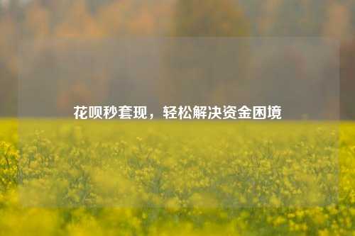 花呗秒套现，轻松解决资金困境