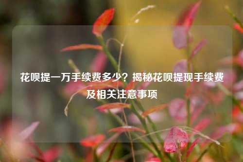花呗提一万手续费多少？揭秘花呗提现手续费及相关注意事项