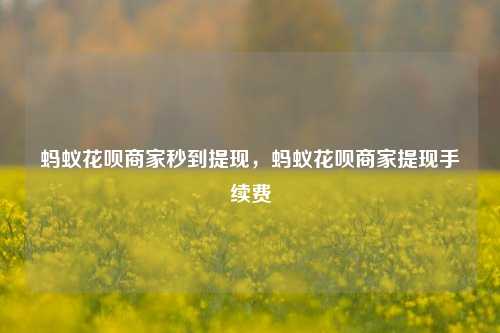 蚂蚁花呗商家秒到提现，蚂蚁花呗商家提现手续费