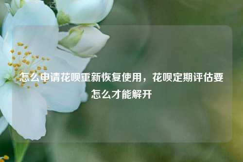 怎么申请花呗重新恢复使用，花呗定期评估要怎么才能解开