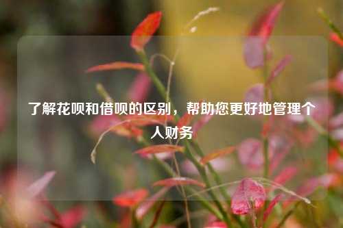 了解花呗和借呗的区别，帮助您更好地管理个人财务