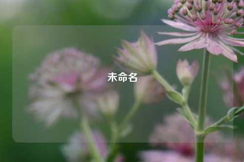 未命名