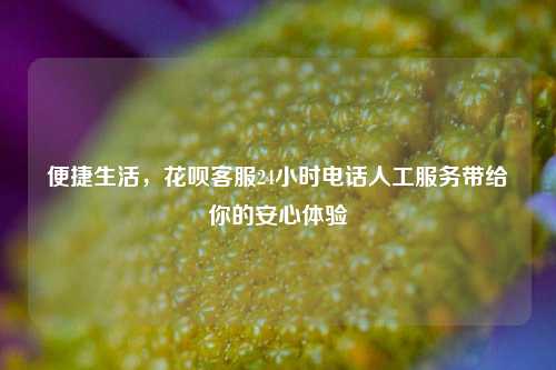 便捷生活，花呗客服24小时电话人工服务带给你的安心体验