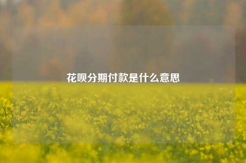 花呗分期付款是什么意思