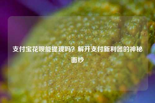 支付宝花呗能提现吗？解开支付新利器的神秘面纱