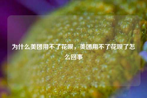 为什么美团用不了花呗，美团用不了花呗了怎么回事