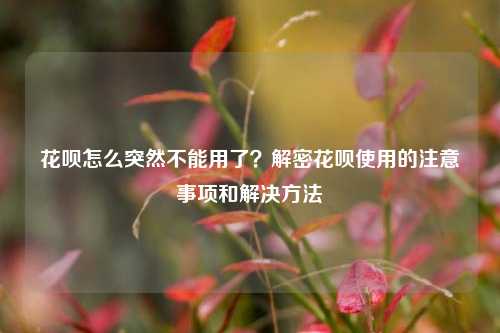 花呗怎么突然不能用了？解密花呗使用的注意事项和解决方法