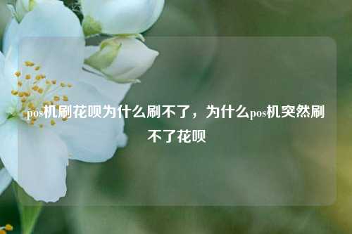 pos机刷花呗为什么刷不了，为什么pos机突然刷不了花呗