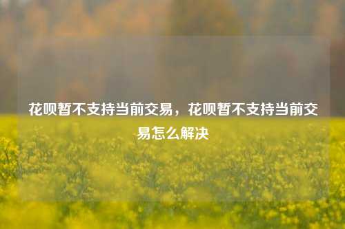 花呗暂不支持当前交易，花呗暂不支持当前交易怎么解决