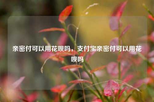 亲密付可以用花呗吗，支付宝亲密付可以用花呗吗