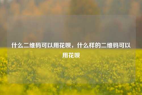 什么二维码可以用花呗，什么样的二维码可以用花呗