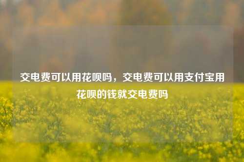 交电费可以用花呗吗，交电费可以用支付宝用花呗的钱就交电费吗
