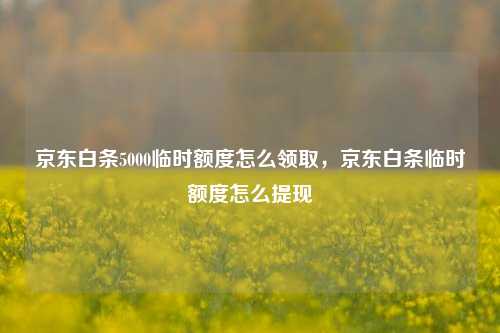 京东白条5000临时额度怎么领取，京东白条临时额度怎么提现