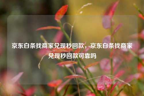 京东白条找商家兑现秒回款，京东白条找商家兑现秒回款可靠吗