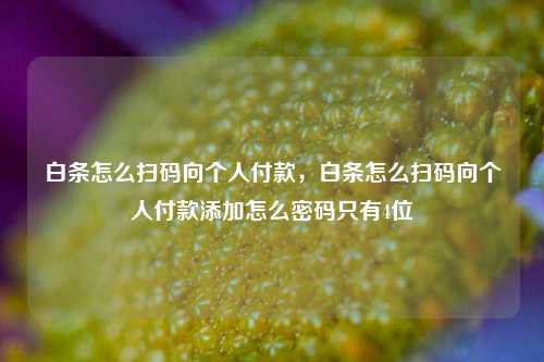 白条怎么扫码向个人付款，白条怎么扫码向个人付款添加怎么密码只有4位