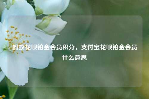 蚂蚁花呗铂金会员积分，支付宝花呗铂金会员什么意思