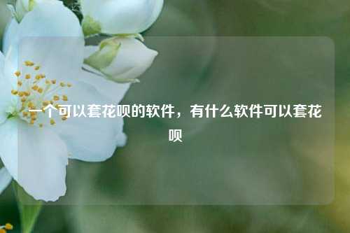 一个可以套花呗的软件，有什么软件可以套花呗