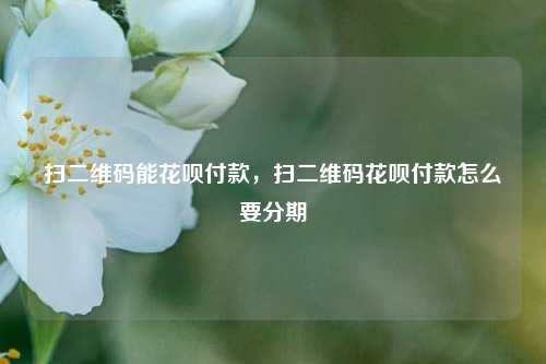 扫二维码能花呗付款，扫二维码花呗付款怎么要分期