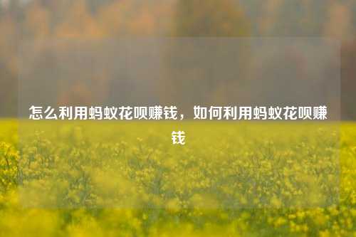 怎么利用蚂蚁花呗赚钱，如何利用蚂蚁花呗赚钱