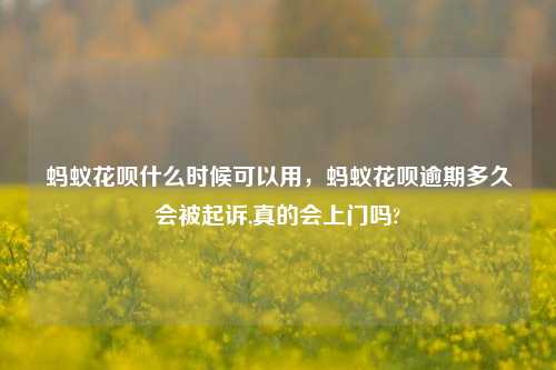 蚂蚁花呗什么时候可以用，蚂蚁花呗逾期多久会被起诉,真的会上门吗?
